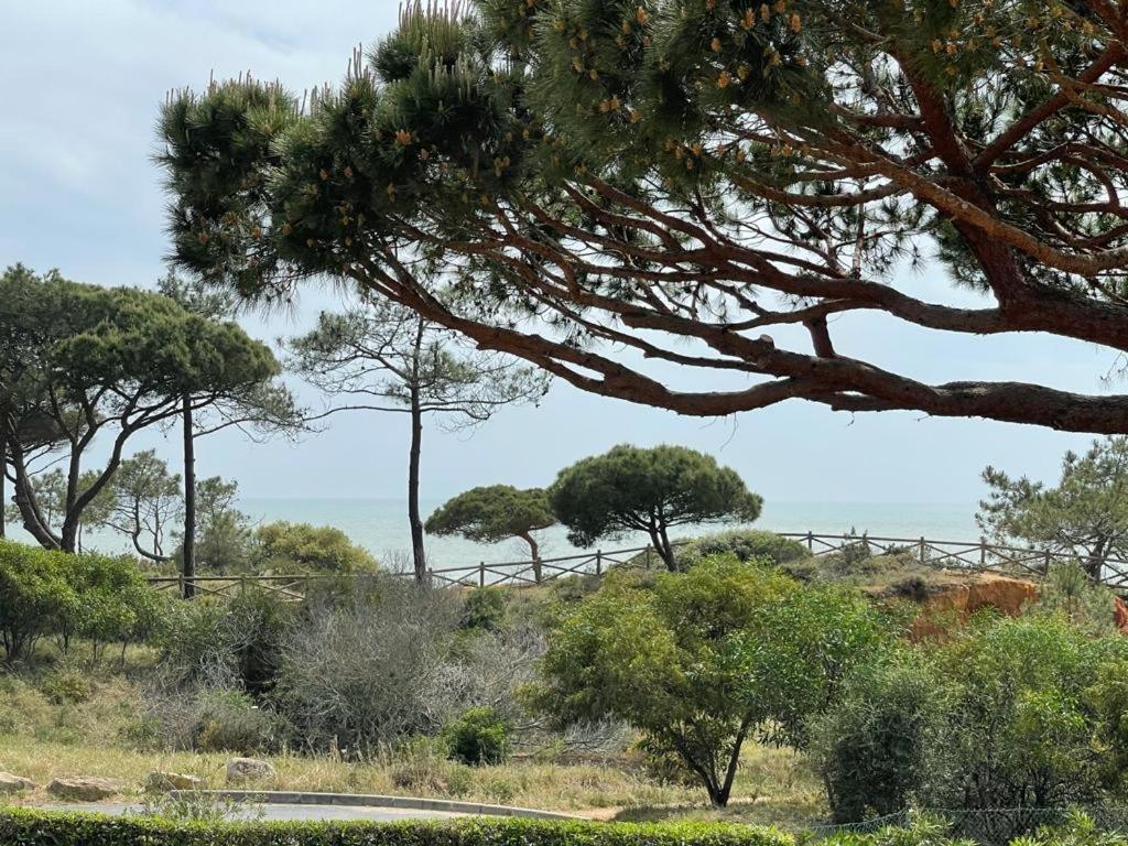 Da Falésia Alfa Mar Albufeira Hébergement de vacances *